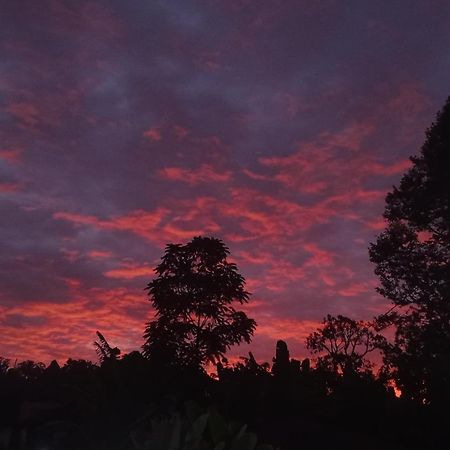 Tapian Ratu Camp Real Bukittinggi Dış mekan fotoğraf