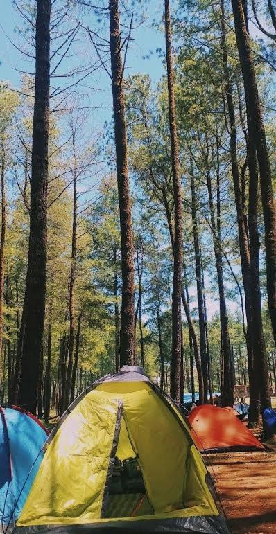Tapian Ratu Camp Real Bukittinggi Dış mekan fotoğraf