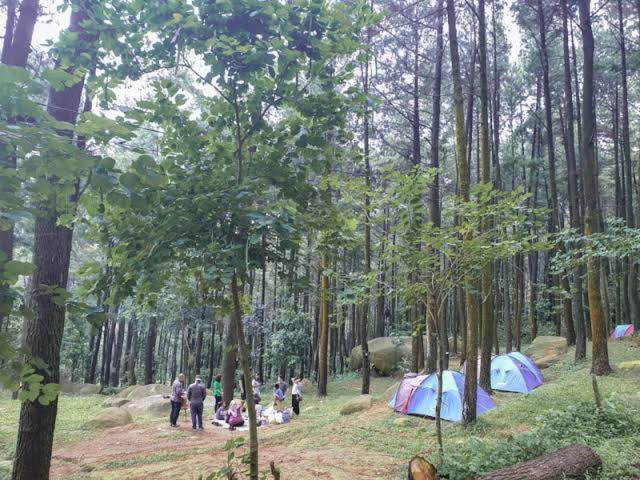 Tapian Ratu Camp Real Bukittinggi Dış mekan fotoğraf
